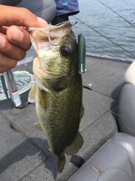 hideup 讓ｪ螻ｱ逶ｴ莠ｺ 繝悶Ο繧ｰ蜀咏悄 2015/06/13