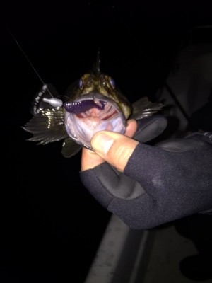 hideup 横山直人 ブログ写真 2015/01/26