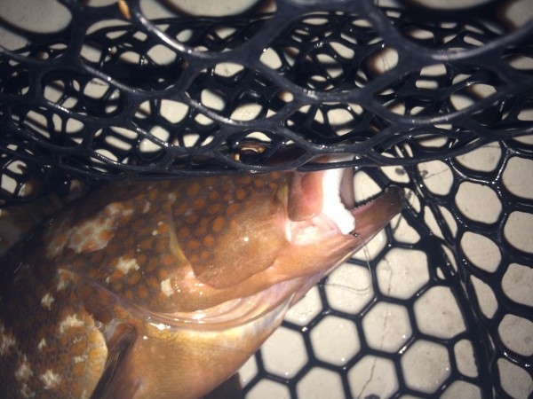 hideup 横山直人 ブログ写真 2015/05/24