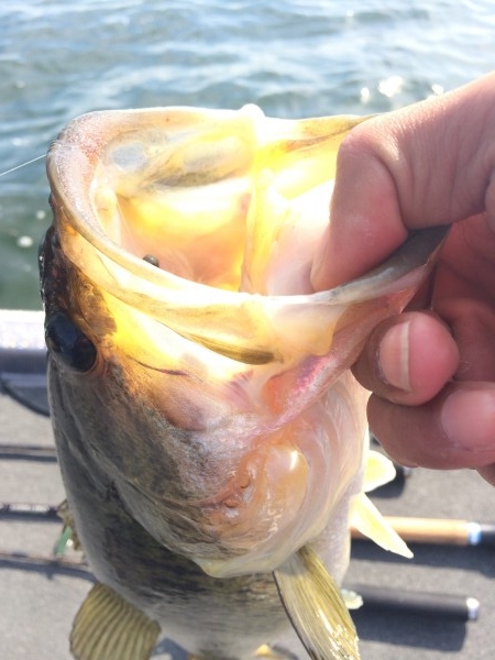 hideup 讓ｪ螻ｱ逶ｴ莠ｺ 繝悶Ο繧ｰ蜀咏悄 2014/05/06