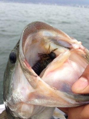 hideup 横山直人 ブログ写真 2013/07/07