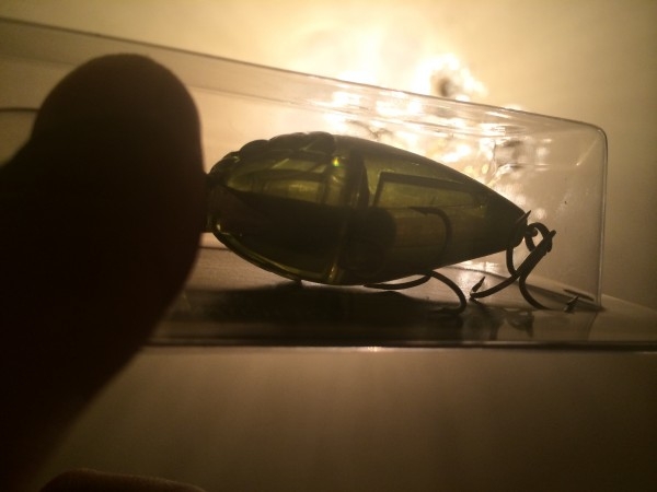 hideup 讓ｪ螻ｱ逶ｴ莠ｺ 繝悶Ο繧ｰ蜀咏悄 2014/08/21