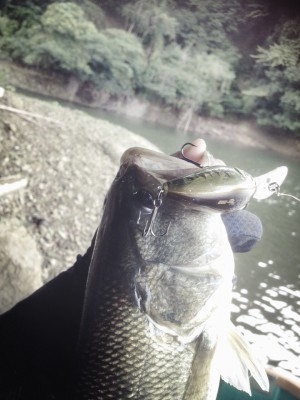 hideup 讓ｪ螻ｱ逶ｴ莠ｺ 繝悶Ο繧ｰ蜀咏悄 2014/09/03