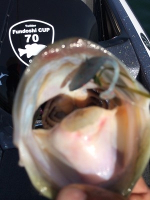 hideup 横山直人 ブログ写真 2014/06/01