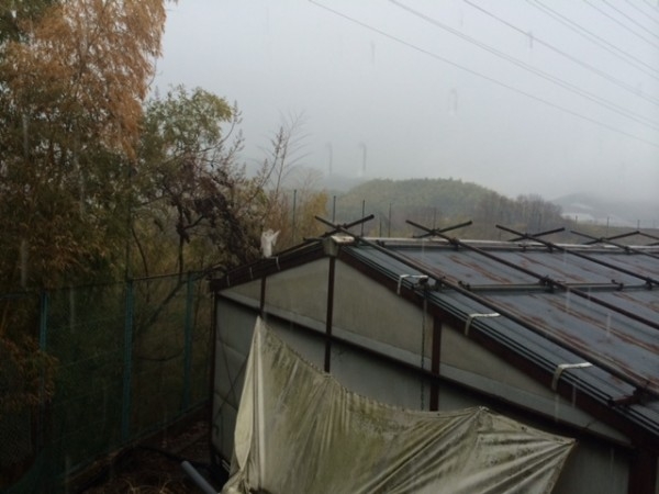 hideup 讓ｪ螻ｱ逶ｴ莠ｺ 繝悶Ο繧ｰ蜀咏悄 2014/03/13