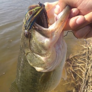 hideup 讓ｪ螻ｱ逶ｴ莠ｺ 繝悶Ο繧ｰ蜀咏悄 2014/04/16