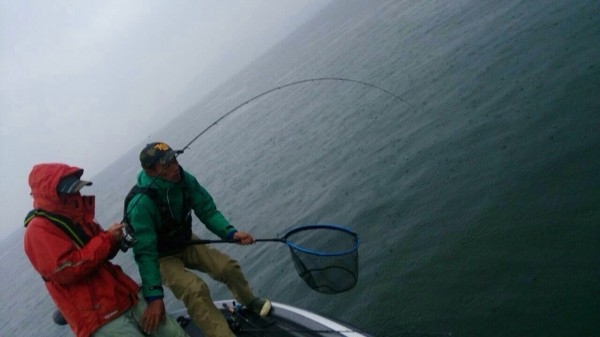 hideup 横山直人 ブログ写真 2013/11/10