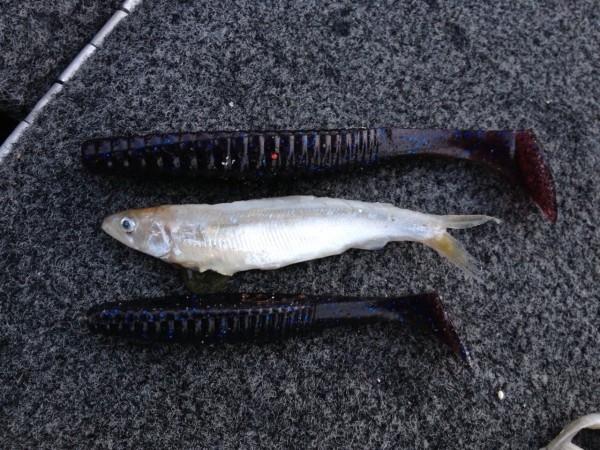 hideup 横山直人 ブログ写真 2015/05/04