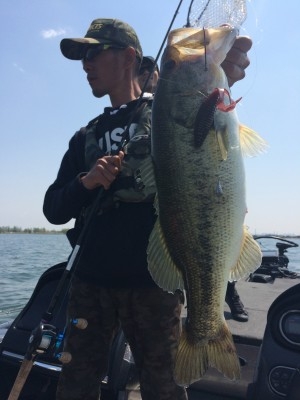 hideup 讓ｪ螻ｱ逶ｴ莠ｺ 繝悶Ο繧ｰ蜀咏悄 2015/04/21