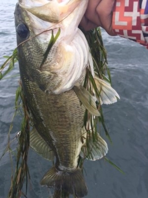 hideup 横山直人 ブログ写真 2015/05/17