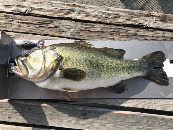 hideup 横山直人 ブログ写真 2017/08/06
