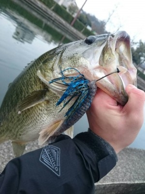 hideup 横山直人 ブログ写真 2015/03/16