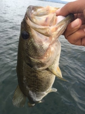 hideup 横山直人 ブログ写真 2015/07/12