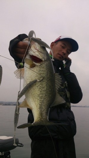 hideup 横山直人 ブログ写真 2014/11/17