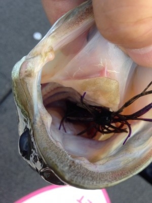 hideup 横山直人 ブログ写真 2015/01/15