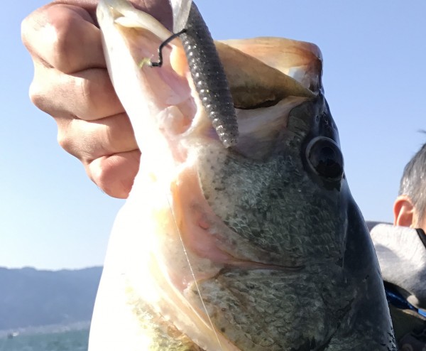 hideup 讓ｪ螻ｱ逶ｴ莠ｺ 繝悶&Omicron;繧ｰ蜀咏悄 2017/04/04