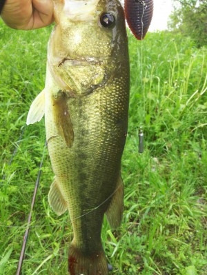 hideup 讓ｪ螻ｱ逶ｴ莠ｺ 繝悶Ο繧ｰ蜀咏悄 2016/05/05