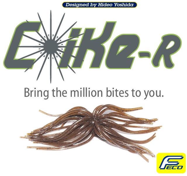 コイケ-R販売開始ー！ 横山直人 HIDEUP ハイドアップ