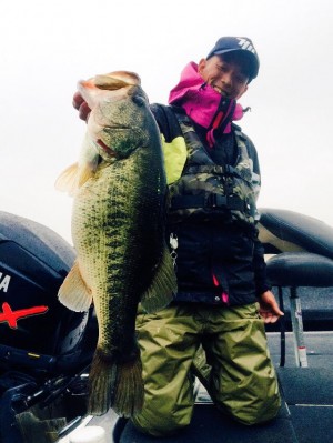 hideup 横山直人 ブログ写真 2015/03/08