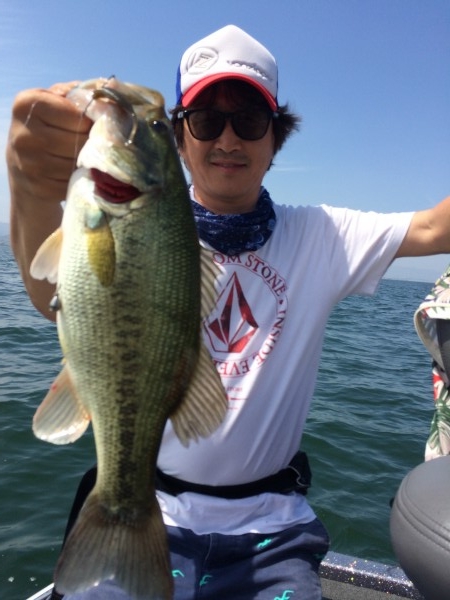 hideup 讓ｪ螻ｱ逶ｴ莠ｺ 繝悶Ο繧ｰ蜀咏悄 2014/06/02