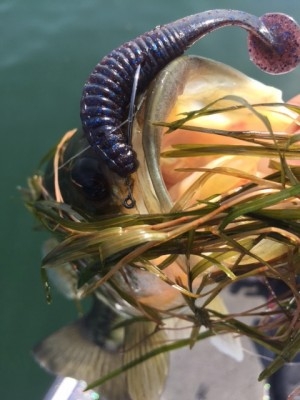 hideup 横山直人 ブログ写真 2015/05/02