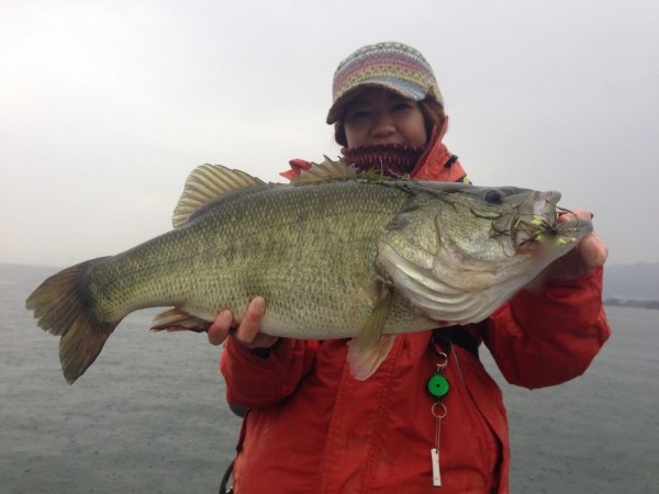hideup 横山直人 ブログ写真 2013/11/10