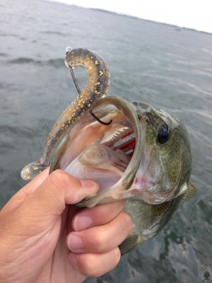 hideup 横山直人 ブログ写真 2013/07/07
