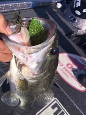 hideup 讓ｪ螻ｱ逶ｴ莠ｺ 繝悶Ο繧ｰ蜀咏悄 2015/06/04