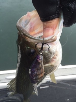 hideup 讓ｪ螻ｱ逶ｴ莠ｺ 繝悶Ο繧ｰ蜀咏悄 2015/11/08