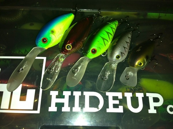 hideup 讓ｪ螻ｱ逶ｴ莠ｺ 繝悶Ο繧ｰ蜀咏悄 2014/10/12