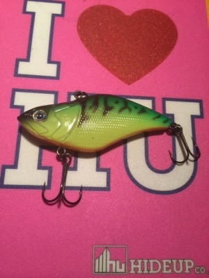 hideup 横山直人 ブログ写真 2015/01/22