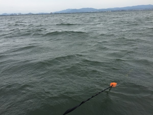 hideup 讓ｪ螻ｱ逶ｴ莠ｺ 繝悶Ο繧ｰ蜀咏悄 2016/05/03