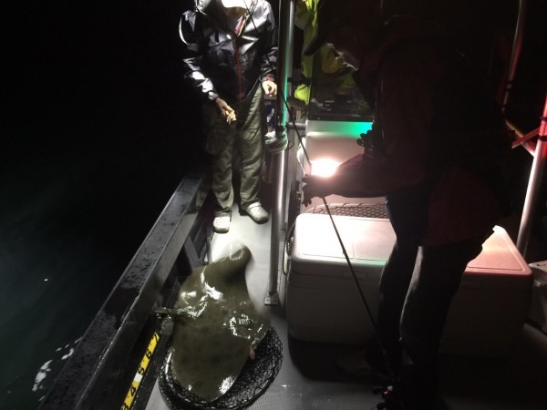 hideup 横山直人 ブログ写真 2015/10/18