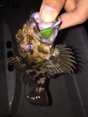 hideup 横山直人 ブログ写真 2015/01/26