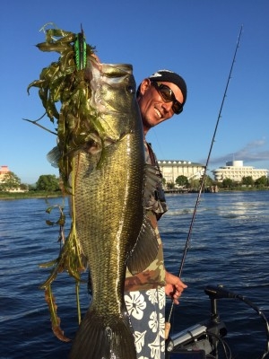 hideup 横山直人 ブログ写真 2015/08/23