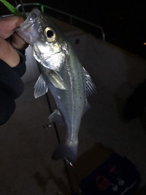 hideup 横山直人 ブログ写真 2015/02/05