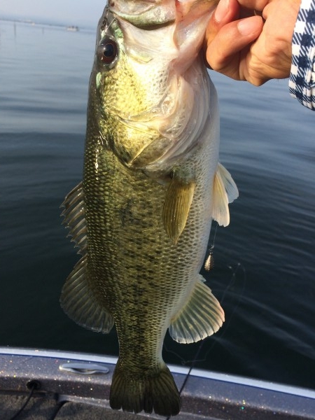 hideup 讓ｪ螻ｱ逶ｴ莠ｺ 繝悶Ο繧ｰ蜀咏悄 2014/05/24