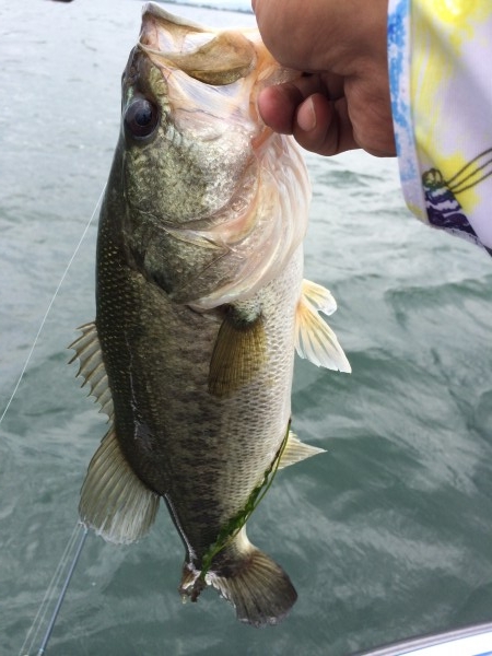 hideup 讓ｪ螻ｱ逶ｴ莠ｺ 繝悶Ο繧ｰ蜀咏悄 2014/07/06