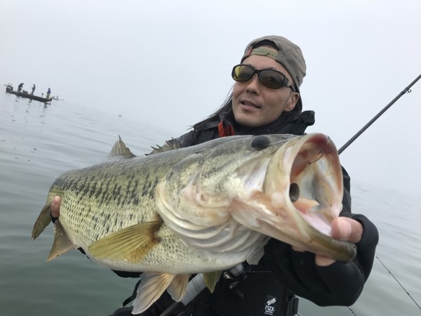 hideup 横山直人 ブログ写真 2017/04/08