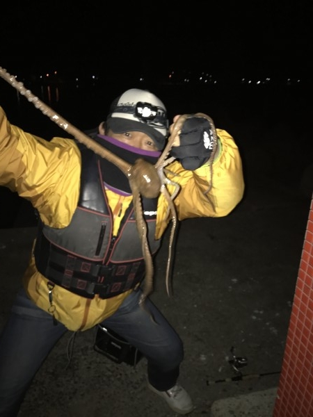 hideup 讓ｪ螻ｱ逶ｴ莠ｺ 繝悶Ο繧ｰ蜀咏悄 2017/01/08