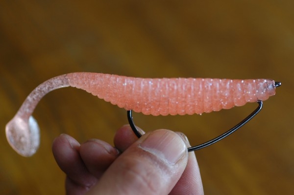 hideup 横山直人 ブログ写真 2015/05/10