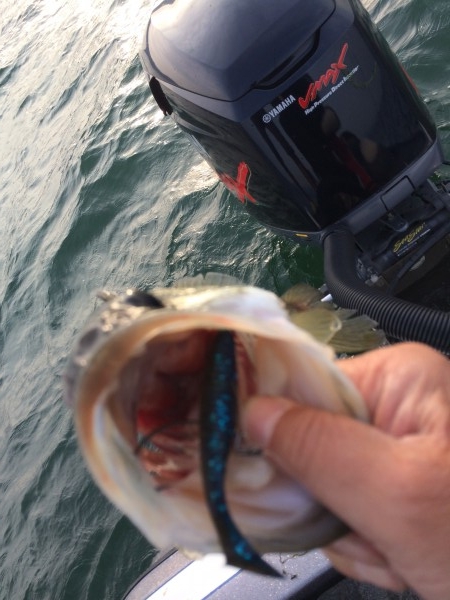 hideup 讓ｪ螻ｱ逶ｴ莠ｺ 繝悶Ο繧ｰ蜀咏悄 2014/05/24