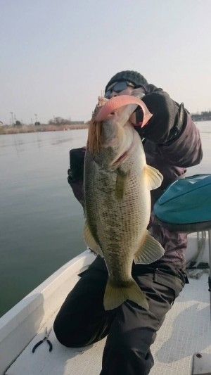 hideup 讓ｪ螻ｱ逶ｴ莠ｺ 繝悶Ο繧ｰ蜀咏悄 2015/03/23