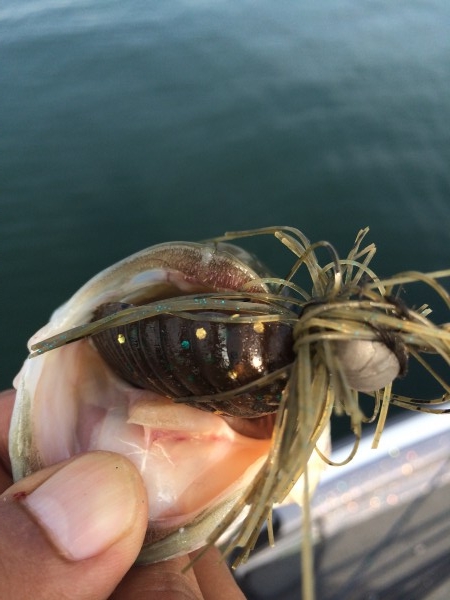 hideup 讓ｪ螻ｱ逶ｴ莠ｺ 繝悶Ο繧ｰ蜀咏悄 2014/09/06