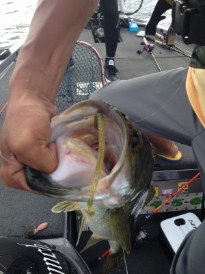 hideup 横山直人 ブログ写真 2015/07/12