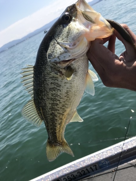 hideup 横山直人 ブログ写真 2017/04/02