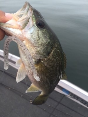 hideup 横山直人 ブログ写真 2015/10/11