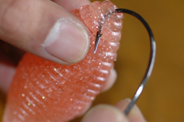 hideup 横山直人 ブログ写真 2015/05/10