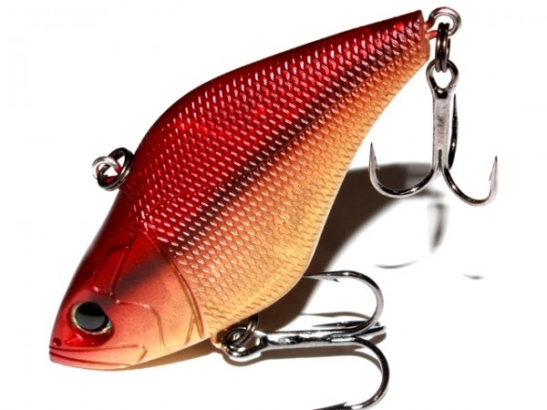 hideup 横山直人 ブログ写真 2015/02/08