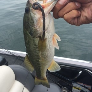 hideup 讓ｪ螻ｱ逶ｴ莠ｺ 繝悶Ο繧ｰ蜀咏悄 2014/06/23